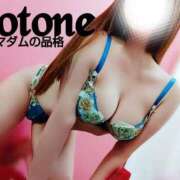 ヒメ日記 2025/02/21 19:02 投稿 ことね マダムの品格