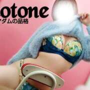 ヒメ日記 2025/02/21 20:54 投稿 ことね マダムの品格