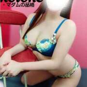 ヒメ日記 2025/02/22 01:05 投稿 ことね マダムの品格