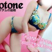 ヒメ日記 2025/02/22 05:00 投稿 ことね マダムの品格