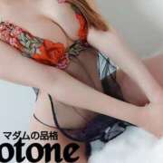 ヒメ日記 2025/02/26 17:01 投稿 ことね マダムの品格