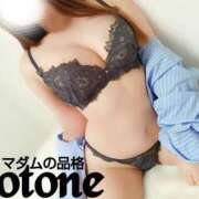 ヒメ日記 2025/02/28 04:15 投稿 ことね マダムの品格