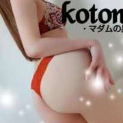 ヒメ日記 2025/03/01 05:15 投稿 ことね マダムの品格