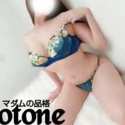 ヒメ日記 2025/03/01 21:49 投稿 ことね マダムの品格