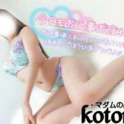 ヒメ日記 2025/03/06 19:20 投稿 ことね マダムの品格