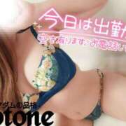 ヒメ日記 2025/03/10 10:01 投稿 ことね マダムの品格