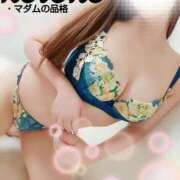 ヒメ日記 2025/03/10 22:35 投稿 ことね マダムの品格