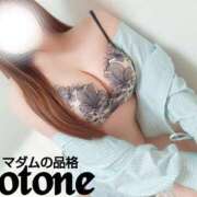 ヒメ日記 2025/03/11 17:02 投稿 ことね マダムの品格