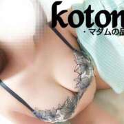 ヒメ日記 2025/03/12 00:56 投稿 ことね マダムの品格