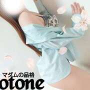 ヒメ日記 2025/03/12 17:01 投稿 ことね マダムの品格