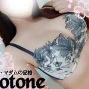 ヒメ日記 2025/03/17 19:25 投稿 ことね マダムの品格