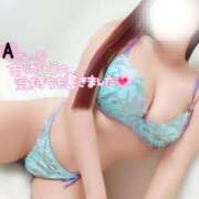 ヒメ日記 2025/03/19 05:30 投稿 ことね マダムの品格