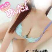 ヒメ日記 2025/03/20 06:38 投稿 ことね マダムの品格