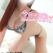 ヒメ日記 2025/03/21 21:09 投稿 ことね マダムの品格