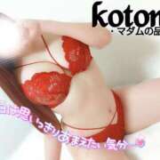 ヒメ日記 2025/03/26 22:15 投稿 ことね マダムの品格