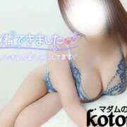 ヒメ日記 2025/03/27 17:02 投稿 ことね マダムの品格