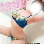 ヒメ日記 2025/04/01 17:02 投稿 ことね マダムの品格