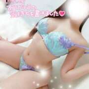 ヒメ日記 2025/04/02 03:17 投稿 ことね マダムの品格