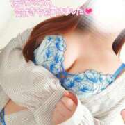 ヒメ日記 2025/04/04 03:58 投稿 ことね マダムの品格