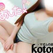 ヒメ日記 2025/04/04 04:12 投稿 ことね マダムの品格