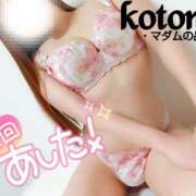 ヒメ日記 2025/04/06 21:29 投稿 ことね マダムの品格