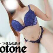 ヒメ日記 2025/04/12 17:01 投稿 ことね マダムの品格