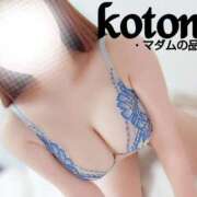 ヒメ日記 2025/04/12 19:43 投稿 ことね マダムの品格