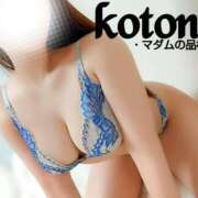 ヒメ日記 2025/04/14 19:05 投稿 ことね マダムの品格