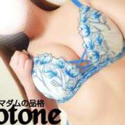 ヒメ日記 2025/04/17 00:43 投稿 ことね マダムの品格