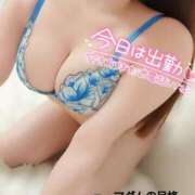 ヒメ日記 2025/04/17 17:01 投稿 ことね マダムの品格