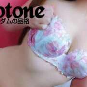 ヒメ日記 2025/04/18 17:01 投稿 ことね マダムの品格