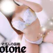 ヒメ日記 2025/04/19 17:01 投稿 ことね マダムの品格