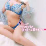 ヒメ日記 2025/04/25 02:43 投稿 ことね マダムの品格