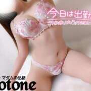 ヒメ日記 2025/04/25 19:18 投稿 ことね マダムの品格