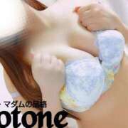 ヒメ日記 2025/05/06 17:01 投稿 ことね マダムの品格