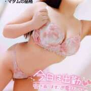 ヒメ日記 2025/05/14 17:01 投稿 ことね マダムの品格