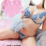 ヒメ日記 2025/05/21 15:52 投稿 ことね マダムの品格