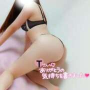 ヒメ日記 2025/05/26 00:10 投稿 ことね マダムの品格