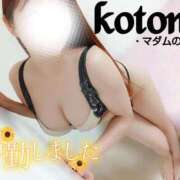 ヒメ日記 2025/05/26 19:01 投稿 ことね マダムの品格