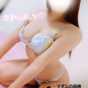 ヒメ日記 2025/05/28 12:54 投稿 ことね マダムの品格