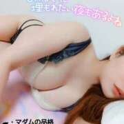 ヒメ日記 2025/06/01 05:31 投稿 ことね マダムの品格