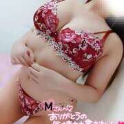 ヒメ日記 2025/06/05 02:36 投稿 ことね マダムの品格