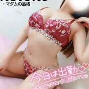 ヒメ日記 2025/06/05 23:41 投稿 ことね マダムの品格