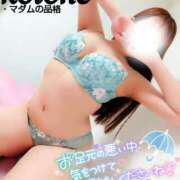 ヒメ日記 2025/06/10 17:02 投稿 ことね マダムの品格