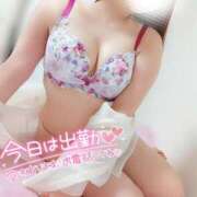 ヒメ日記 2025/06/11 19:19 投稿 ことね マダムの品格