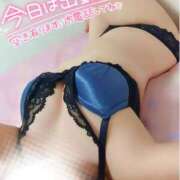 ヒメ日記 2025/06/12 12:21 投稿 ことね マダムの品格