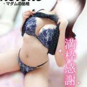 ヒメ日記 2025/06/14 01:12 投稿 ことね マダムの品格