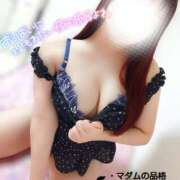 ヒメ日記 2025/06/14 14:12 投稿 ことね マダムの品格