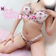 ヒメ日記 2025/06/19 10:35 投稿 ことね マダムの品格