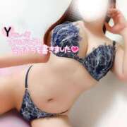 ヒメ日記 2025/06/20 05:15 投稿 ことね マダムの品格